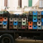 Cuba: Havana – Crates on a truck